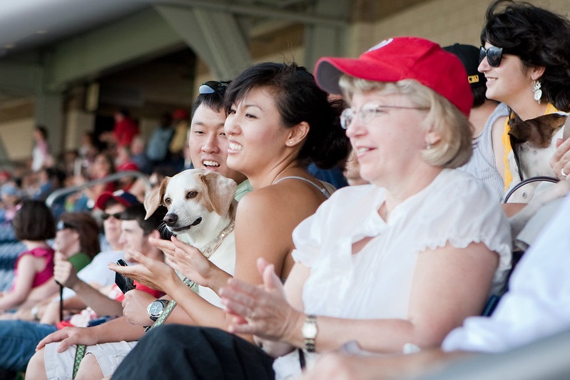 Photo of a couple and their dog at a baseball game.
