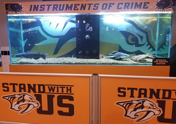 Photo of the catfish tank at Bridgestone Arena. Home of the Nashville Predators.